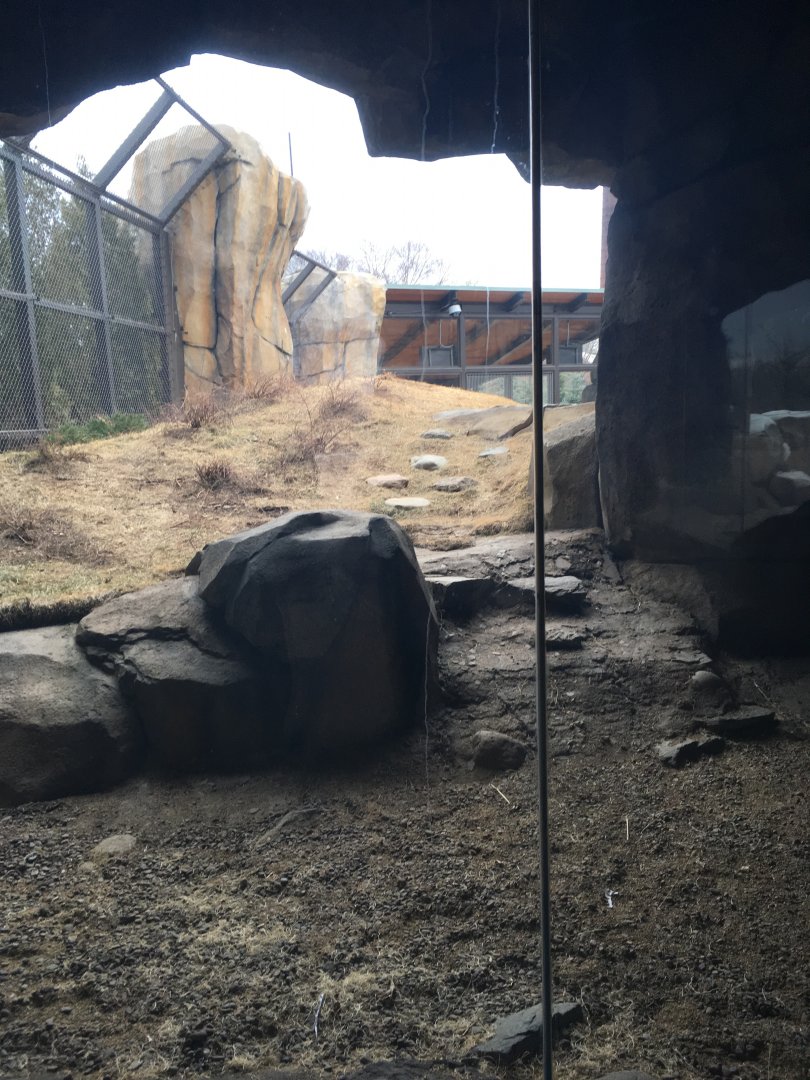 Walter Family Arctic Tundra - first Polar bear yard - View 2