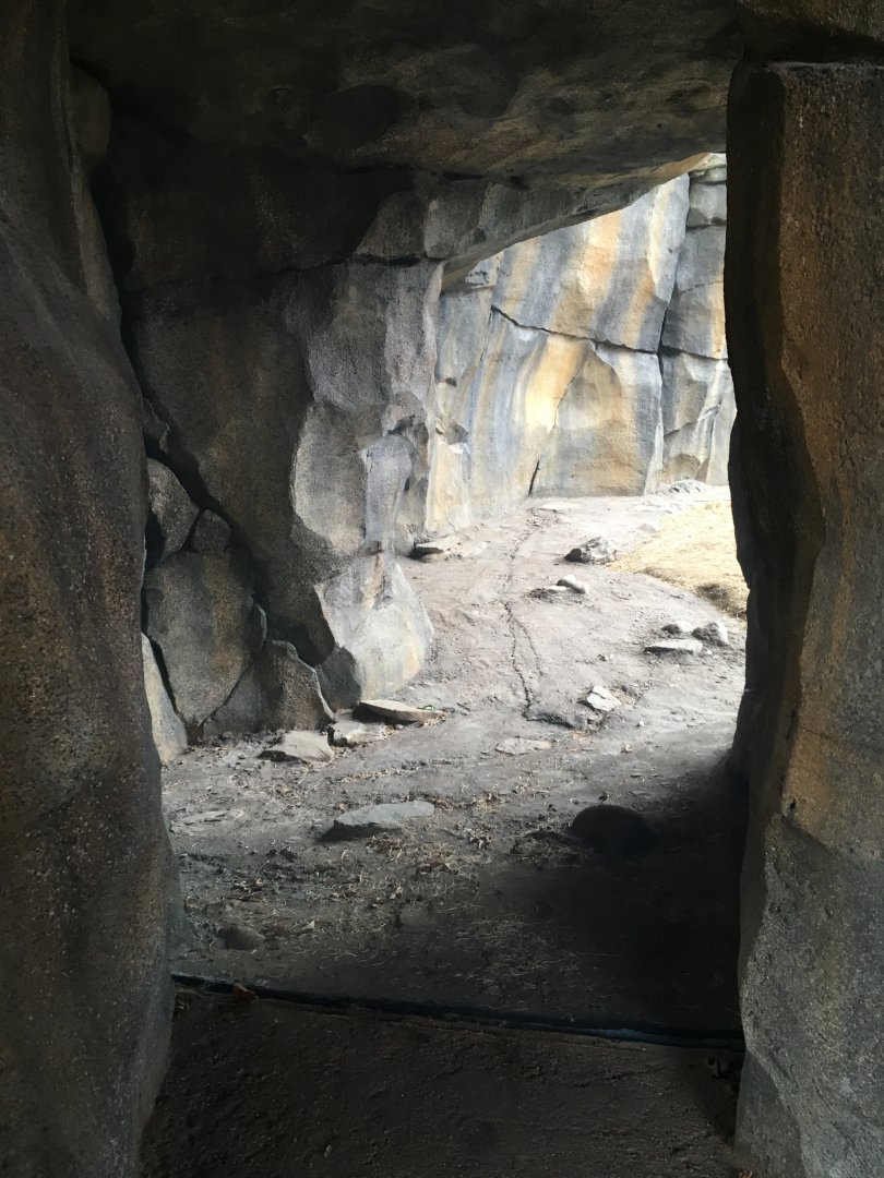 Walter Family Arctic Tundra - Ice Cave