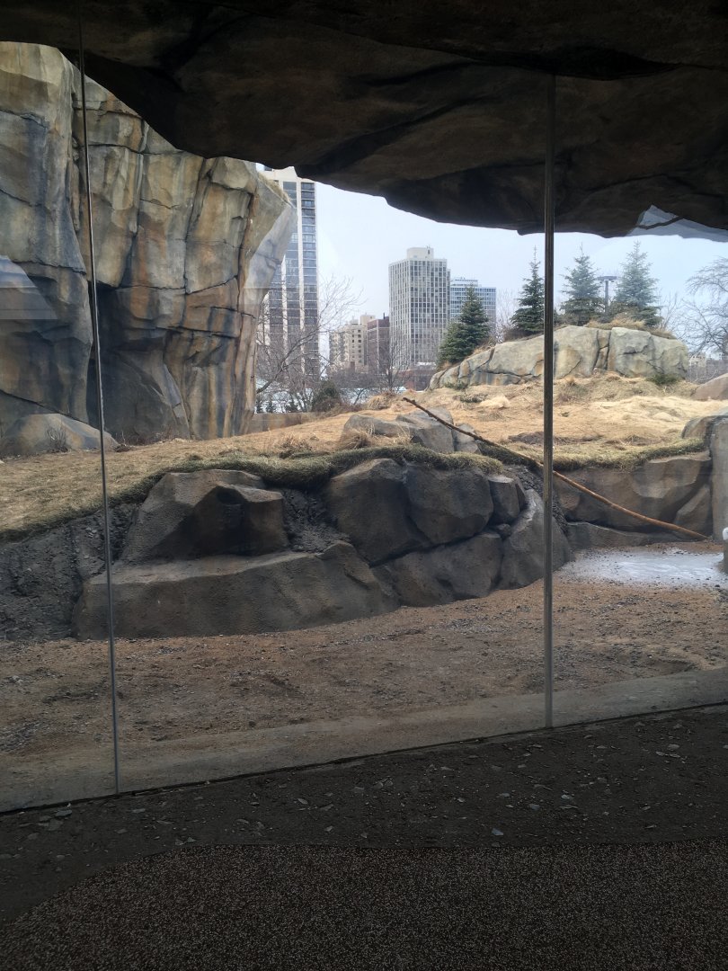 Walter Family Arctic Tundra - Second Polar bear yard - View 1