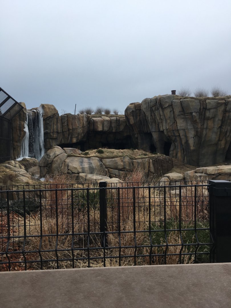 Walter Family Arctic Tundra - Second Polar bear yard - View 2