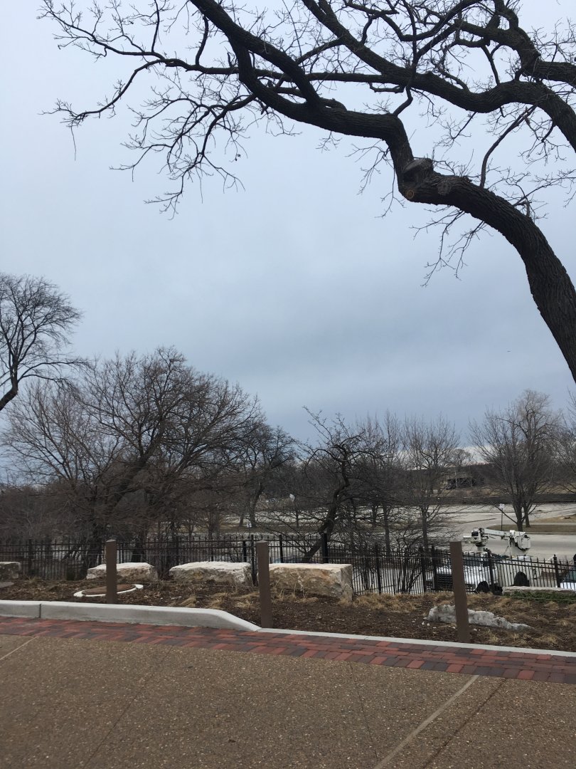 Walter Family Arctic Tundra - View out of the zoo