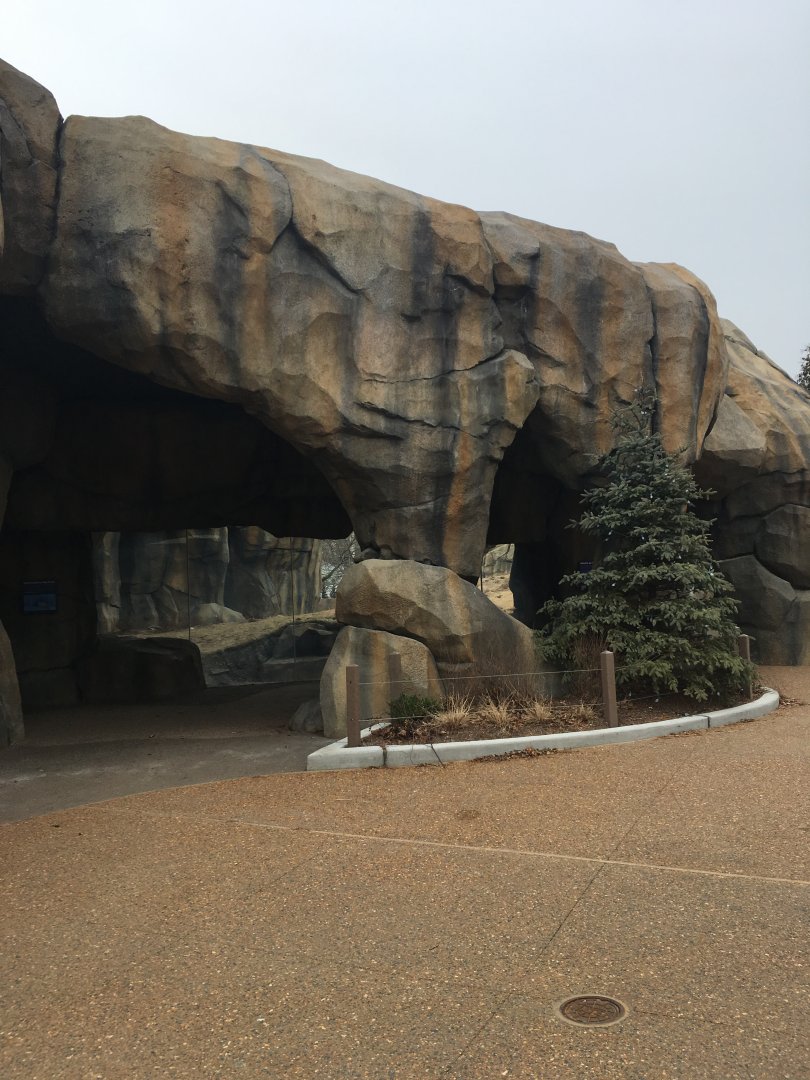 Walter Family Arctic Tundra- Viewing Shelter