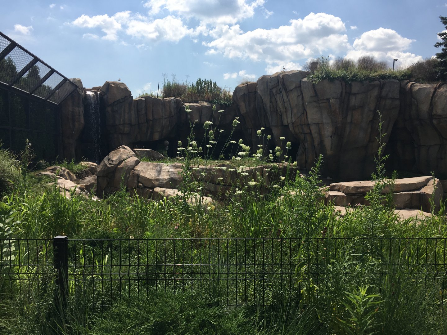 Walter Family Arctic Tundra