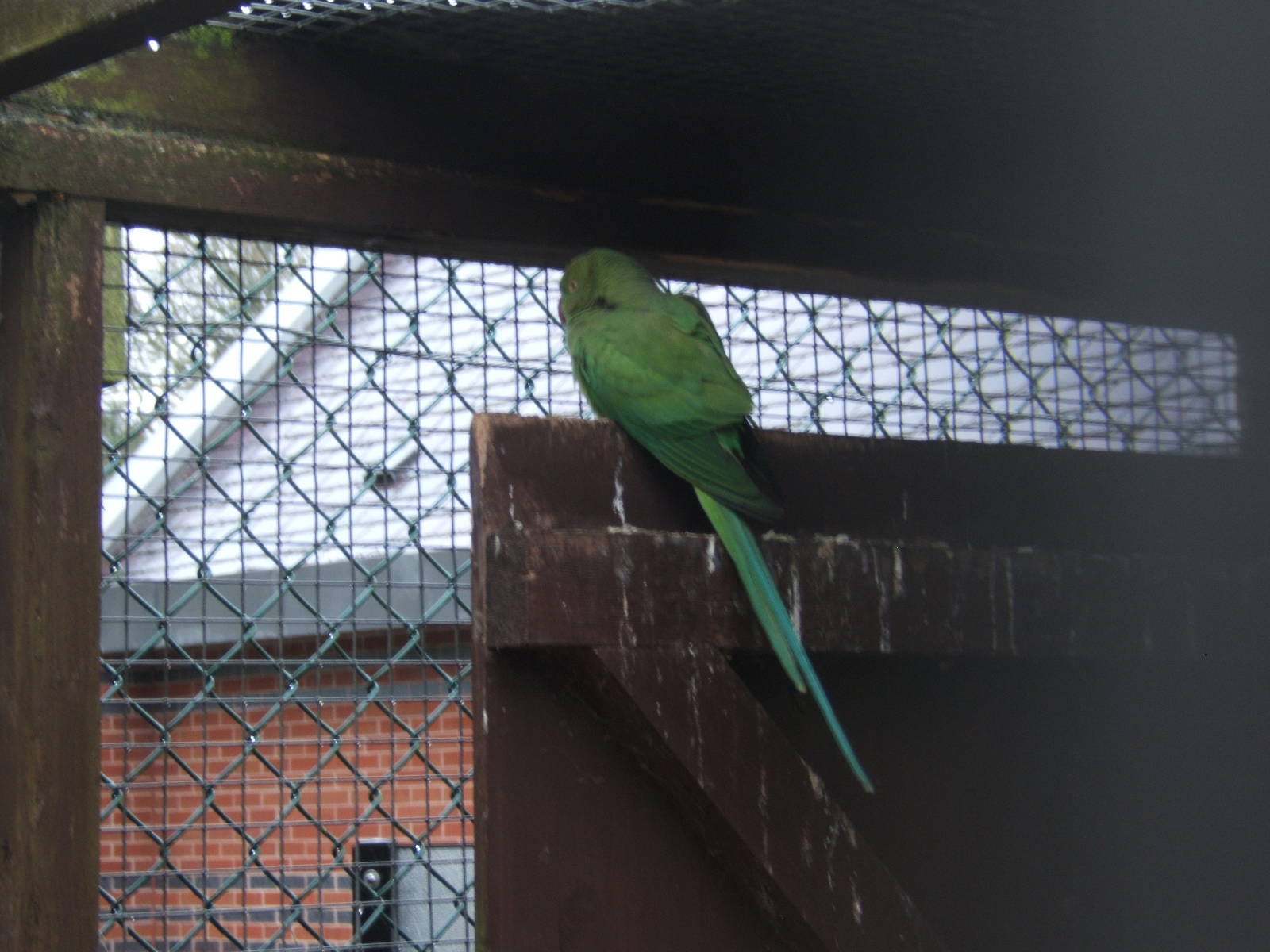 Walton Hall Children`s Zoo