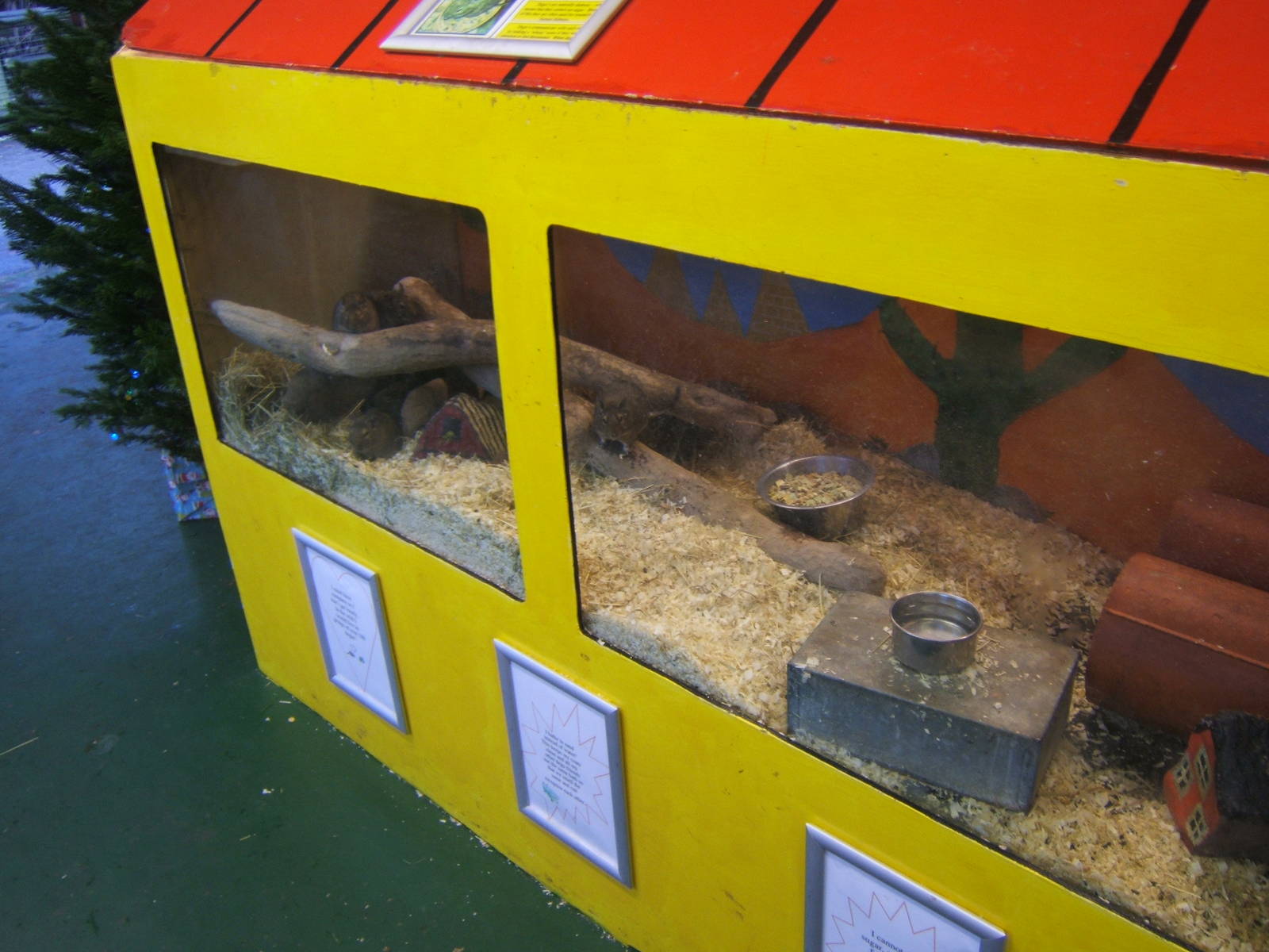 Walton Hall Children`s Zoo