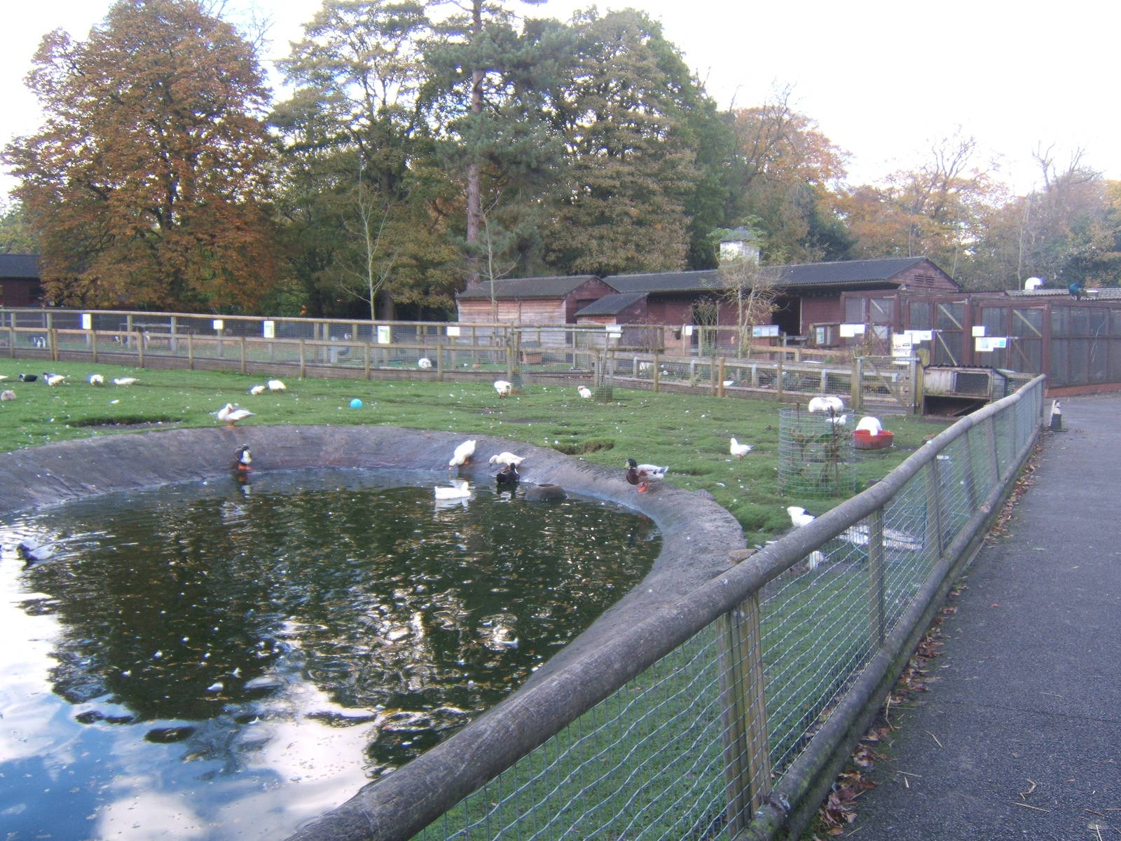 Walton Hall Childrens Zoo