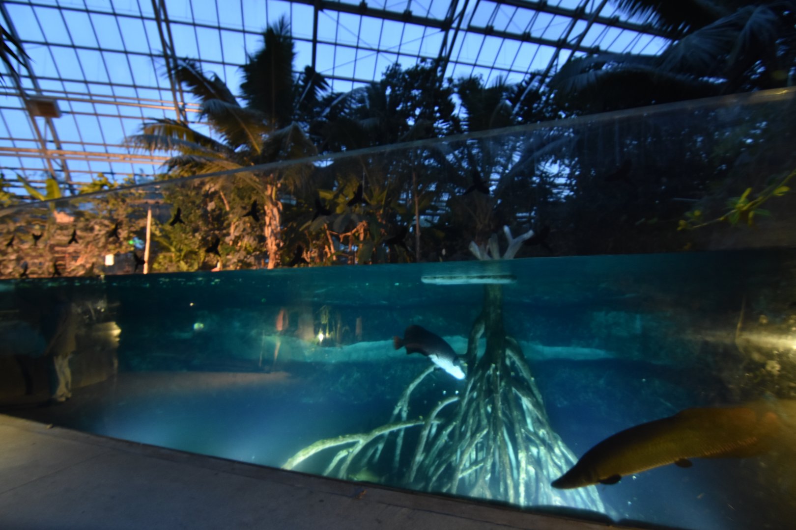 Wandering at night in the greenhouse