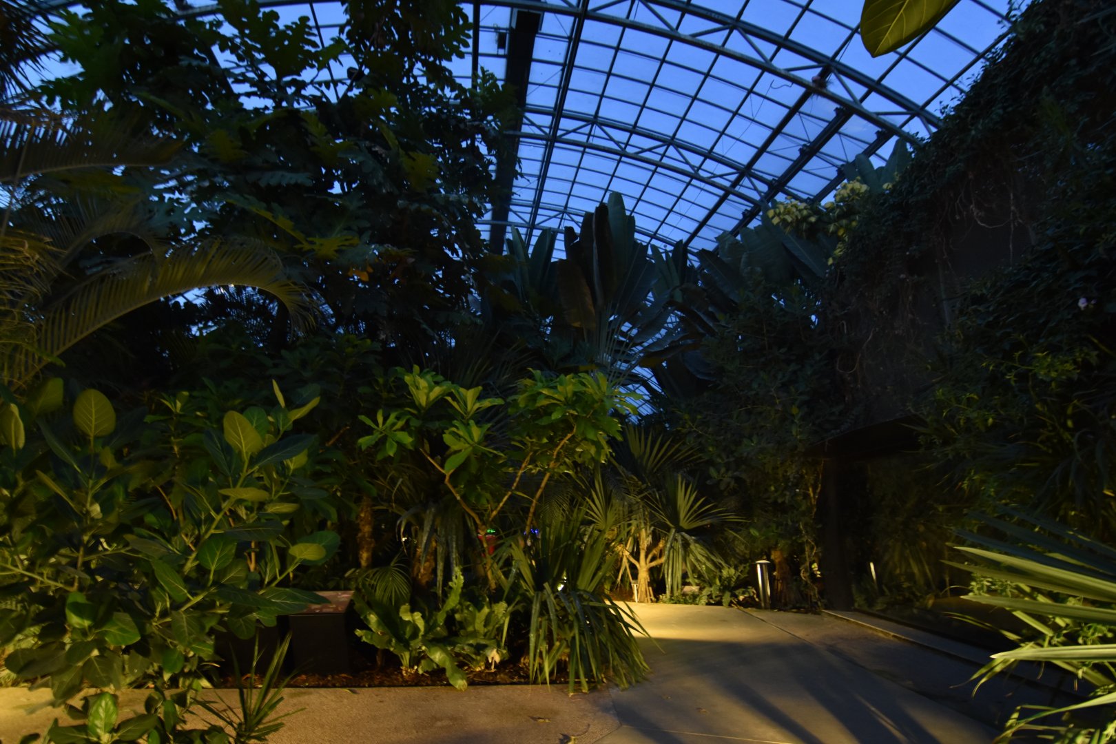 Wandering at night in the greenhouse