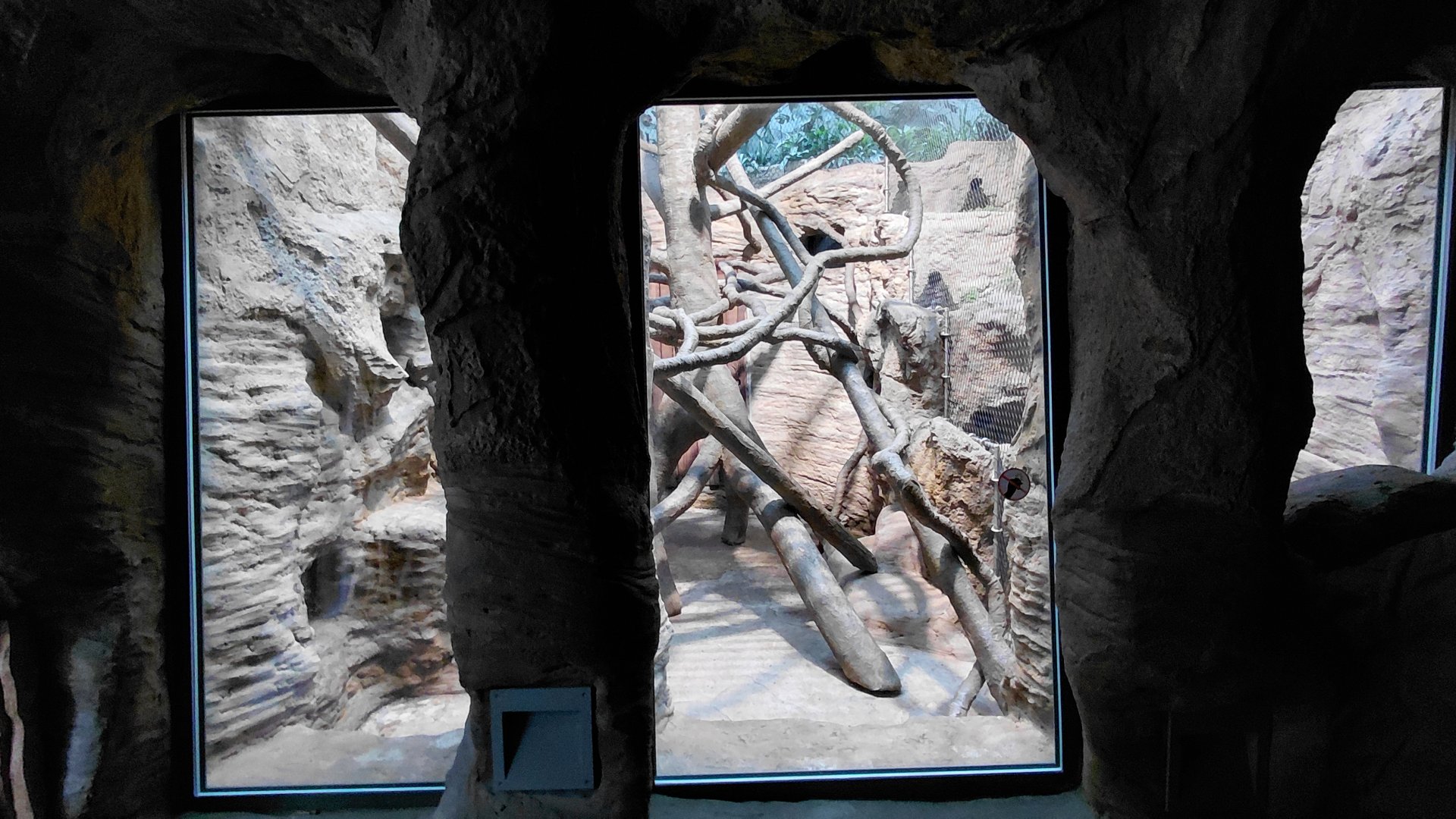 Wanderu - Indoor macaque exhibit