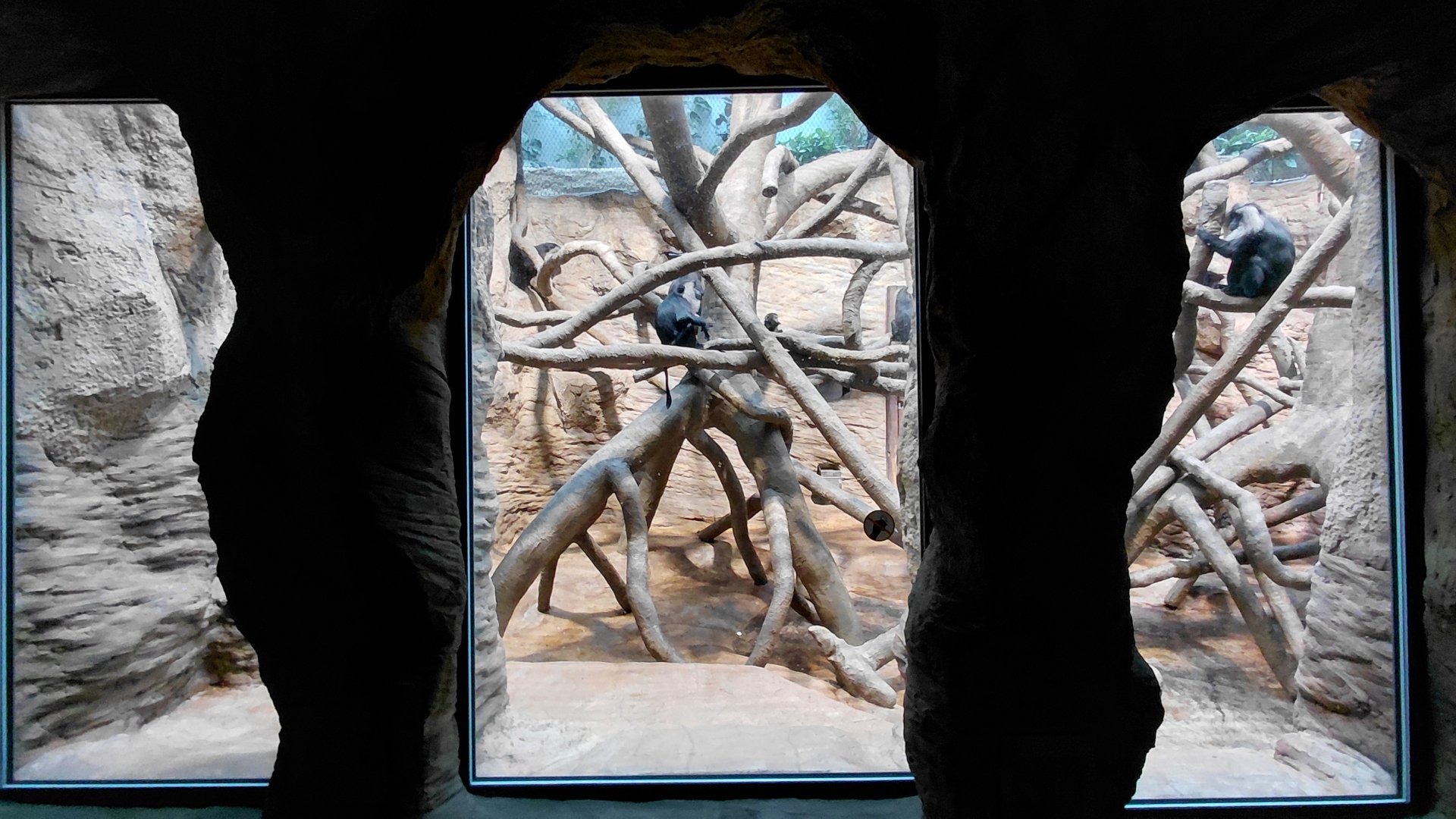 Wanderu - Indoor macaque exhibit