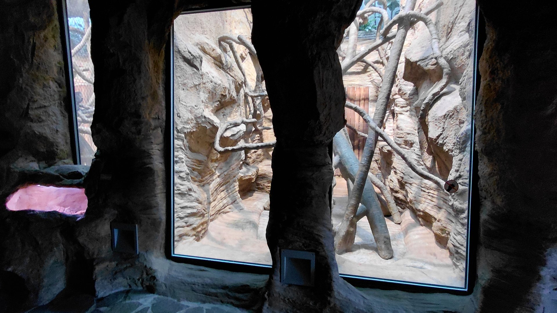 Wanderu - Indoor macaque exhibit