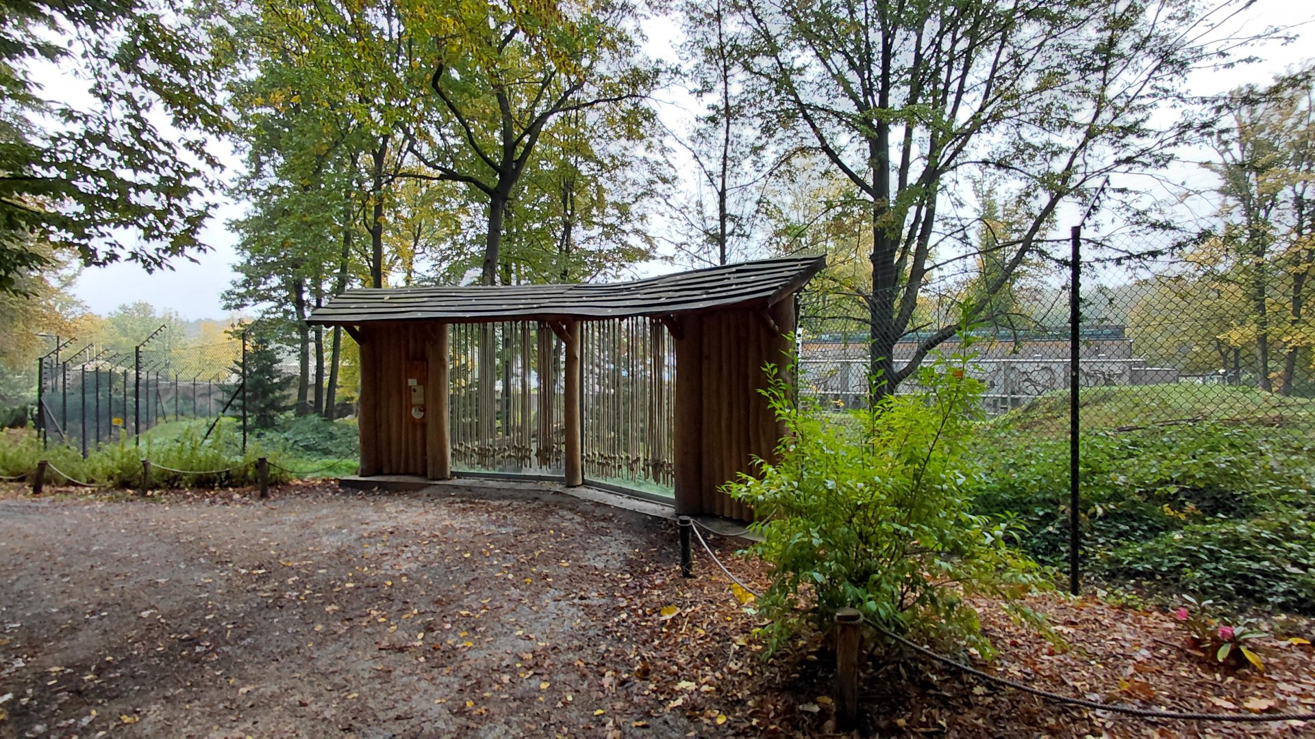 Wanderu - Outdoor macaque exhibit