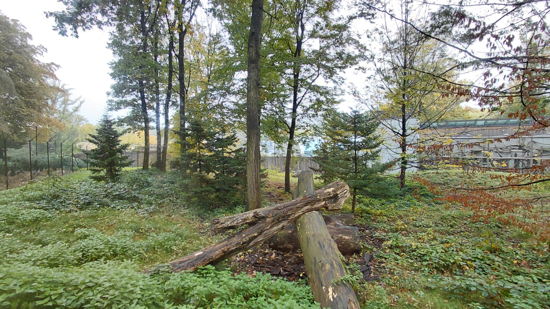 Wanderu - Outdoor macaque exhibit
