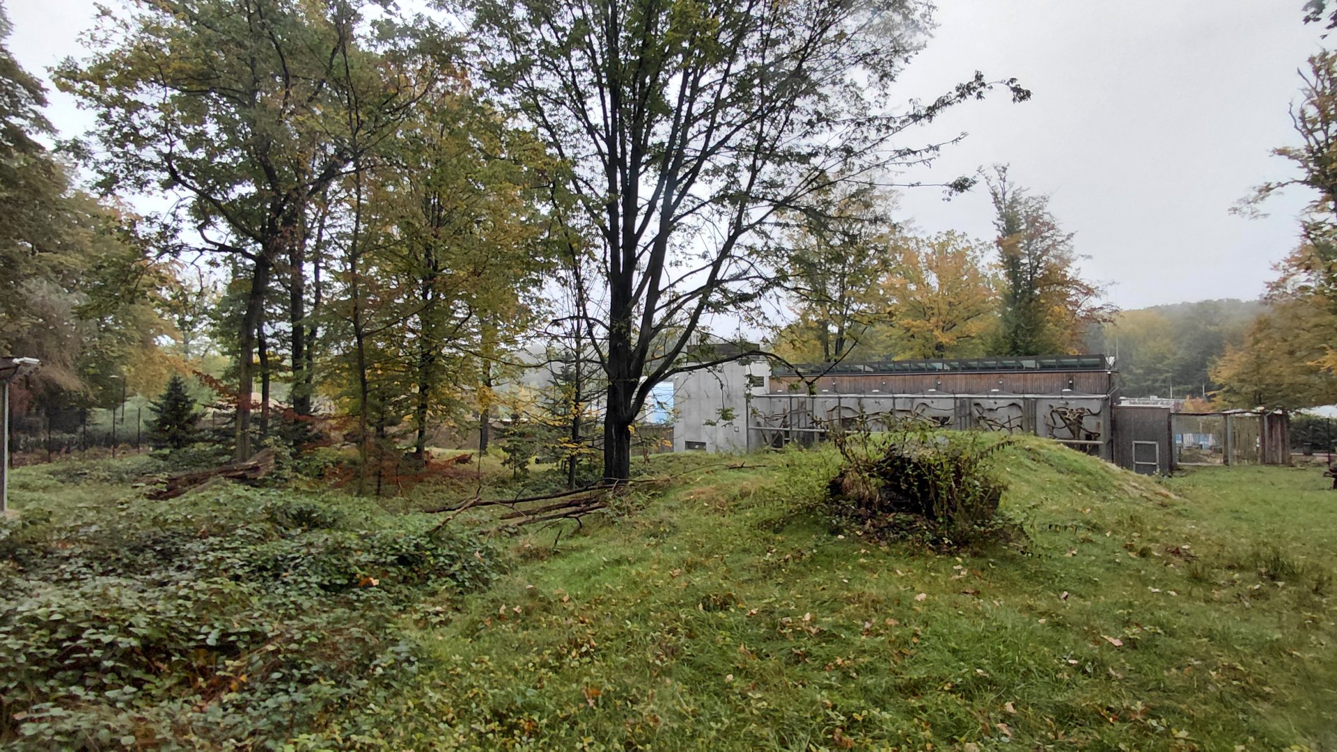 Wanderu - Outdoor macaque exhibit