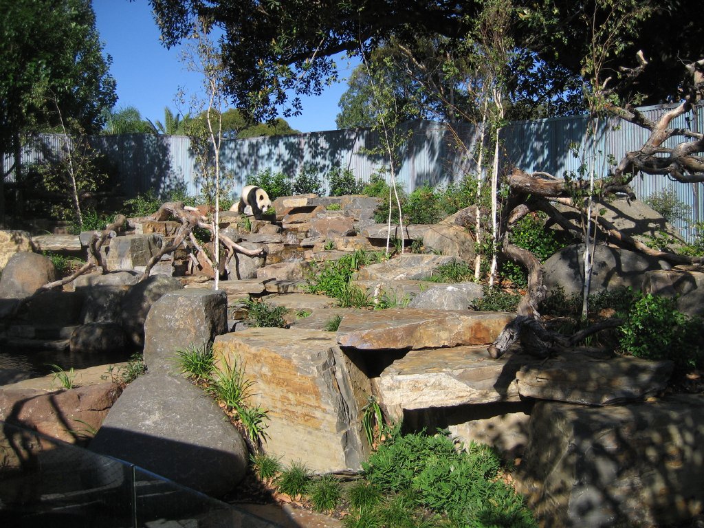 Wang Wang's exhibit with Wang Wang