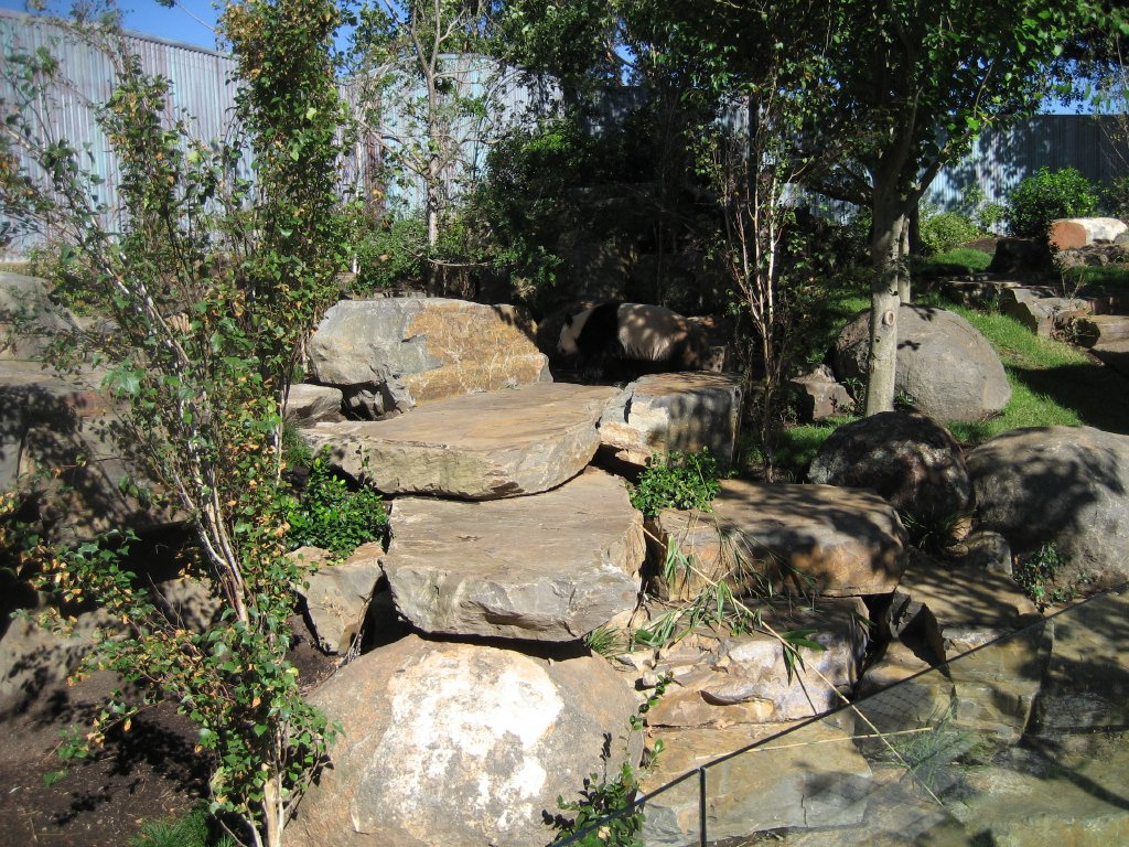 Wang Wang's exhibit with Wang Wang