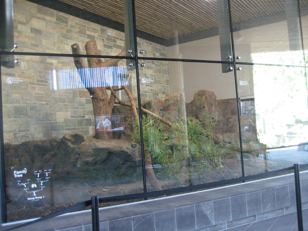 Wang Wangs indoor enclosure