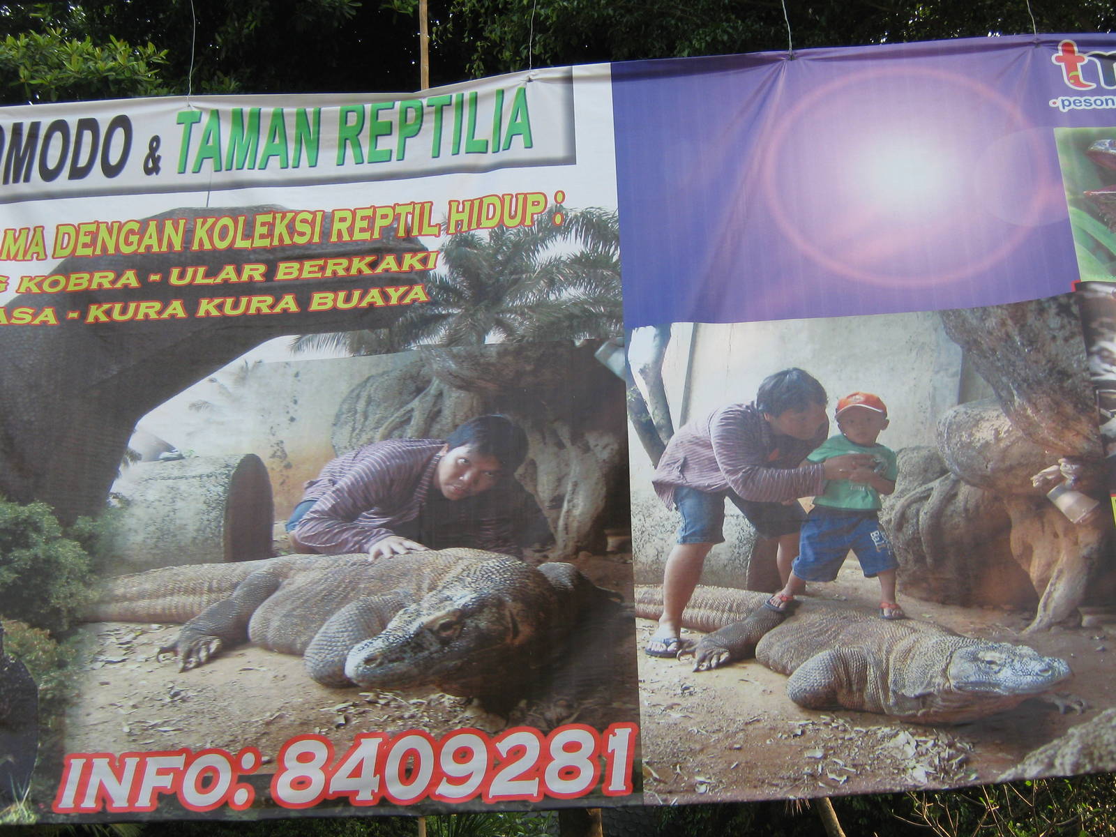 want to feed your kids to the dragon?