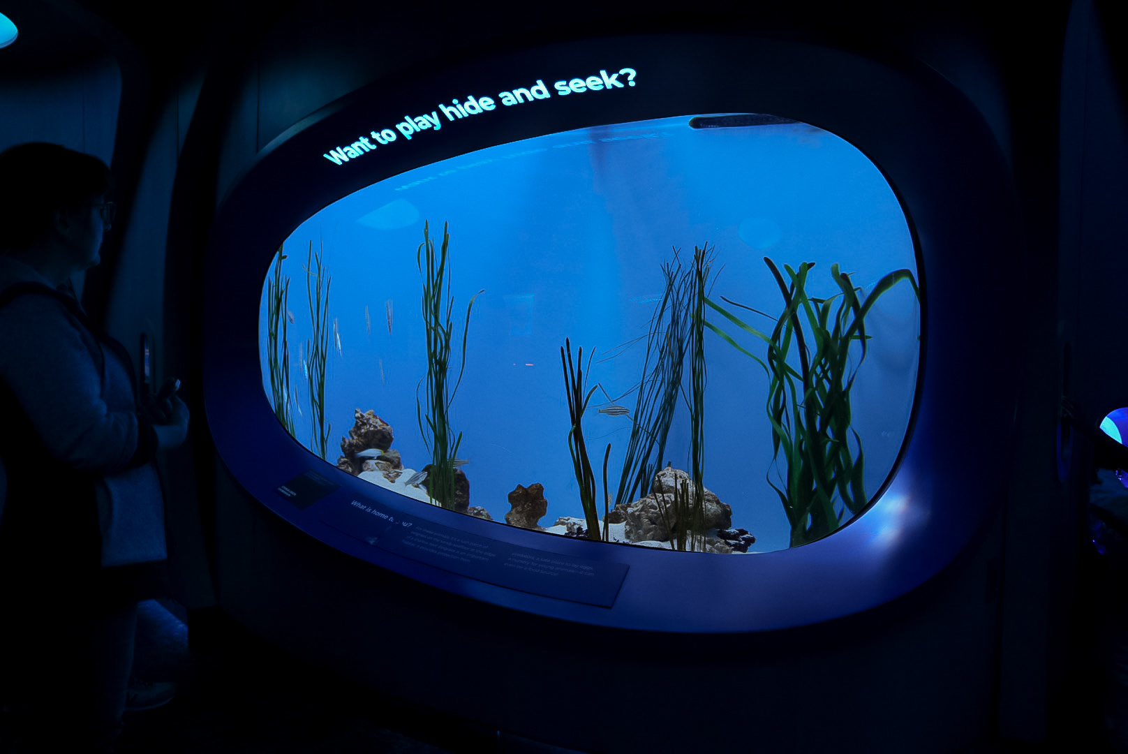 "Want to play Hide and Seek?"