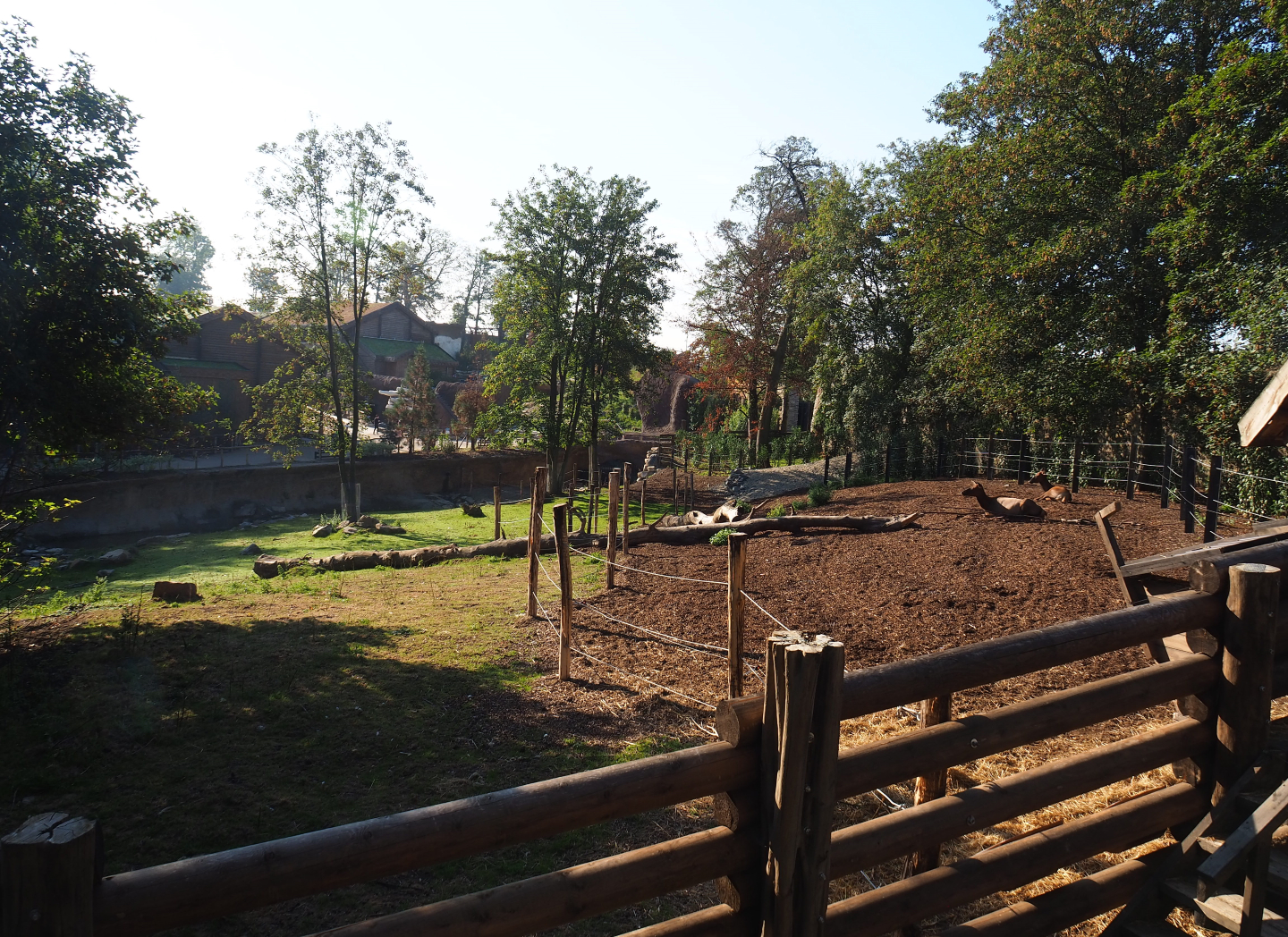 Wapiti paddock and empty future musk ox paddock, 2020-09-02