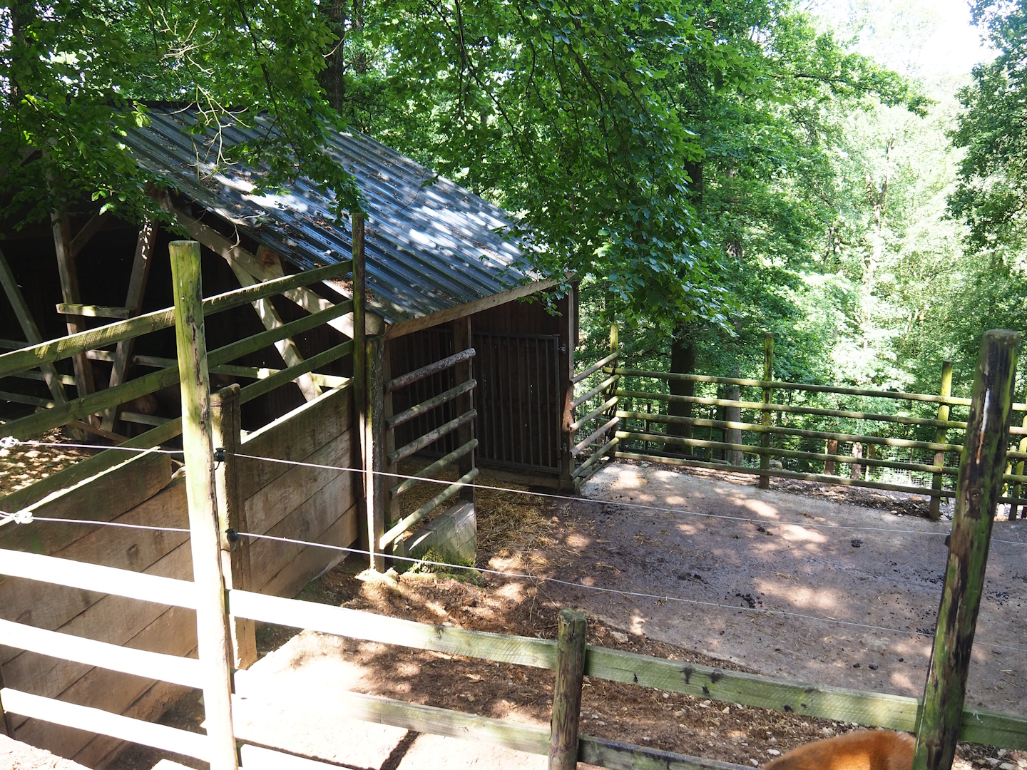 Wapiti shelter and holding paddock, 2023-06-24
