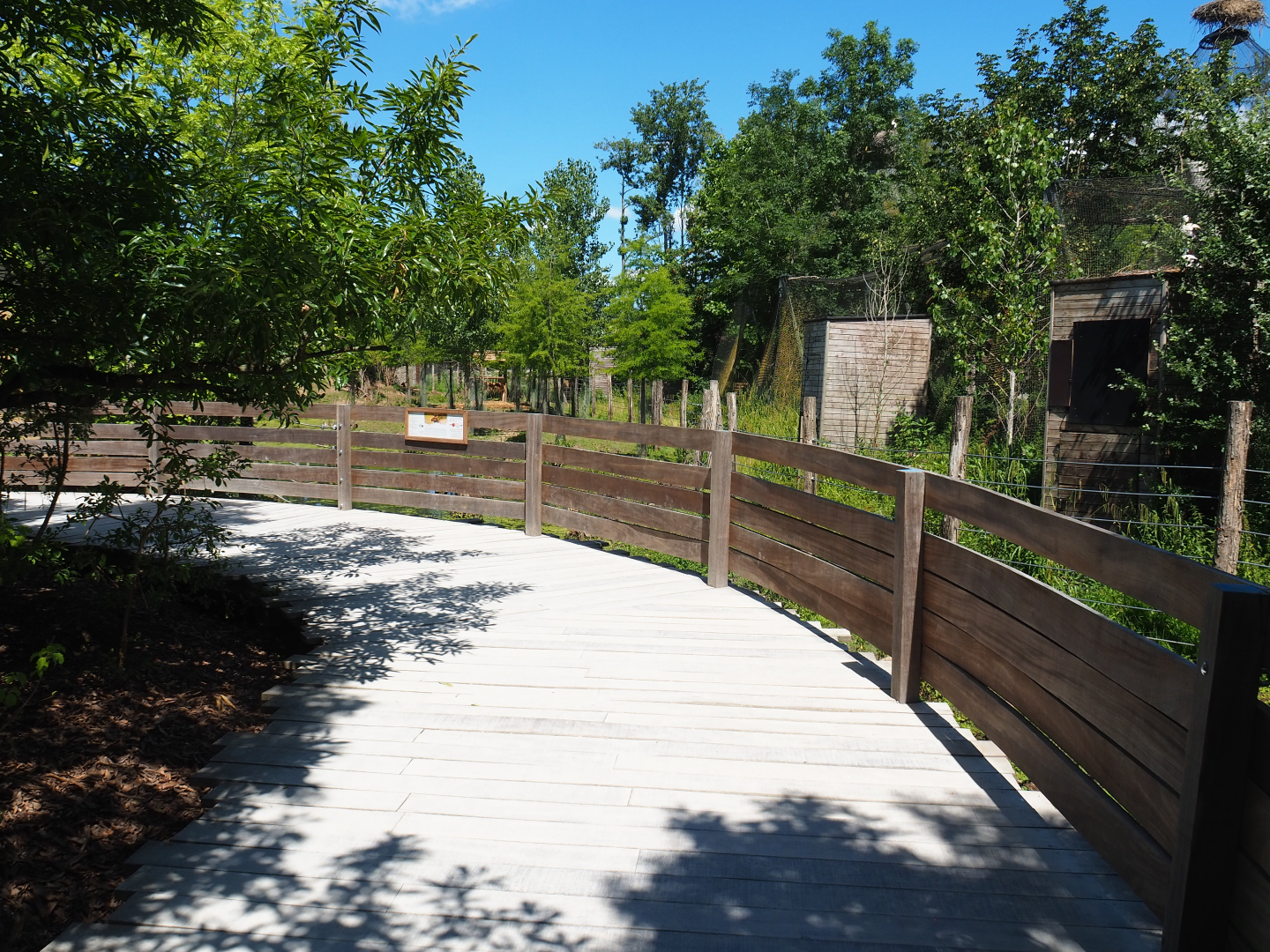 Wapiti viewing area, 2022-06-28