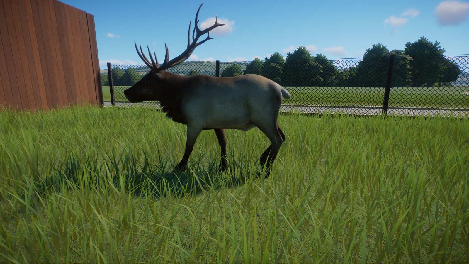 Wapiti