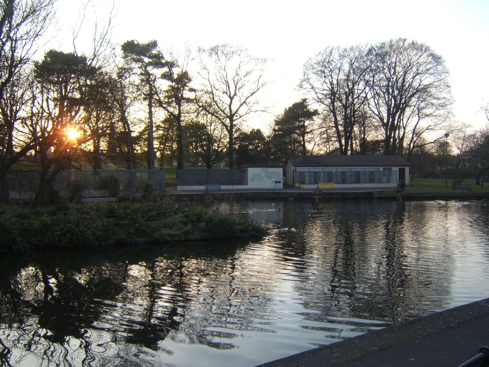 Ward Park Aviarys at Bangor Northern Ireland