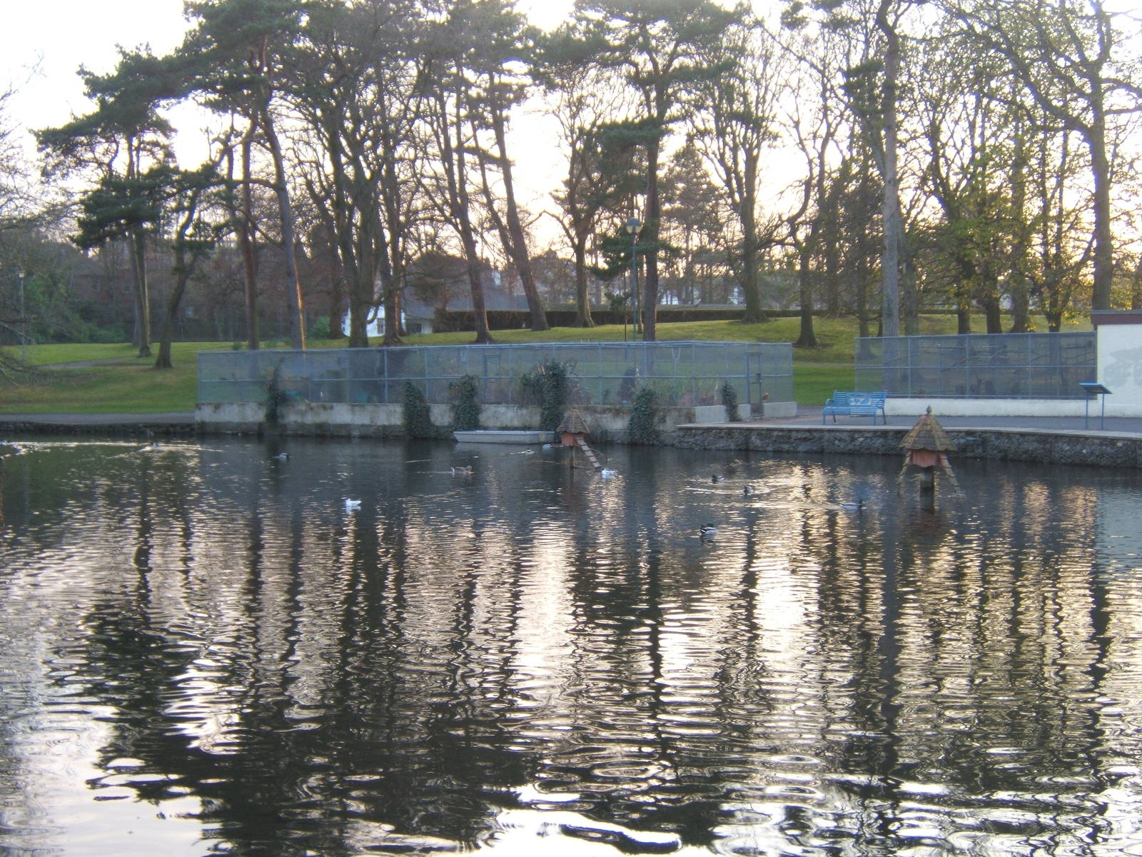 Ward Park Aviarys at Bangor Northern Ireland