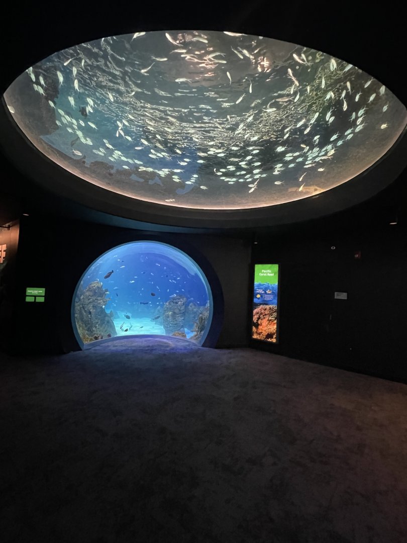 Warm Open Ocean Room