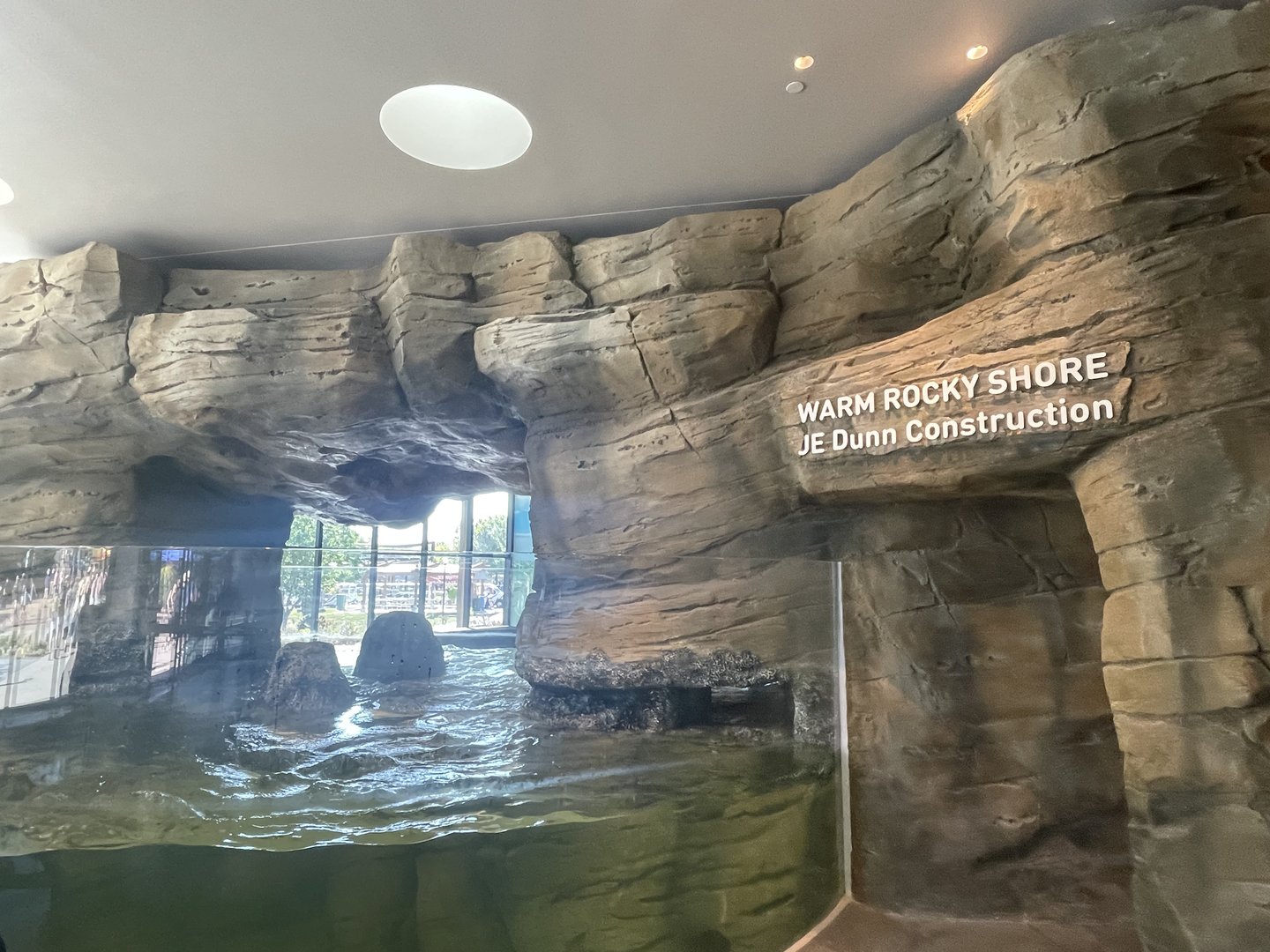 Warm Rocky Shore Tank