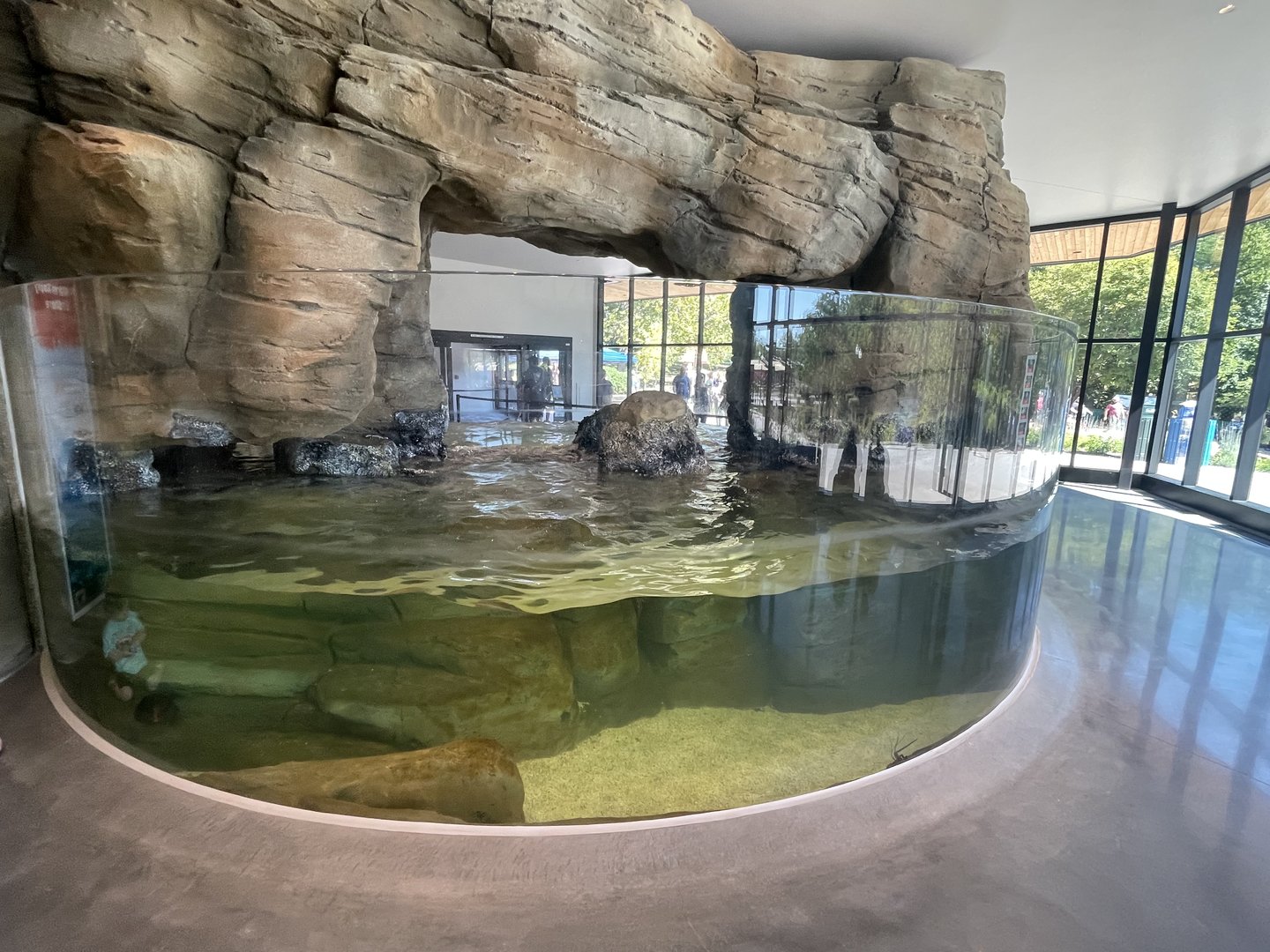 Warm Rocky Shore Tank