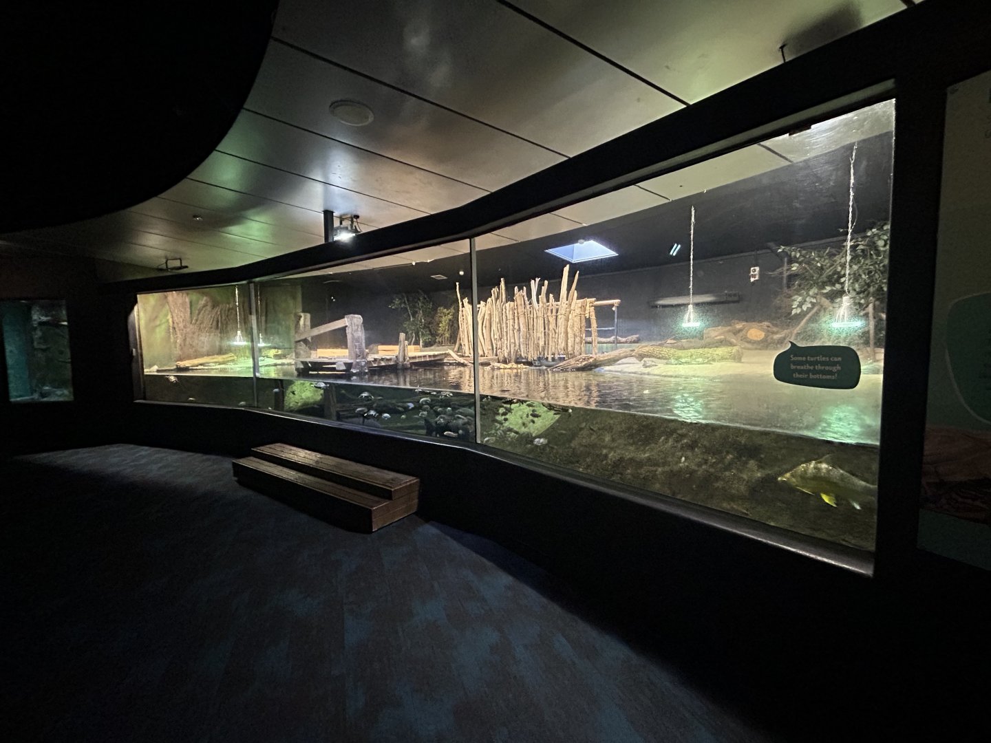 Warmer Waters Exhibit