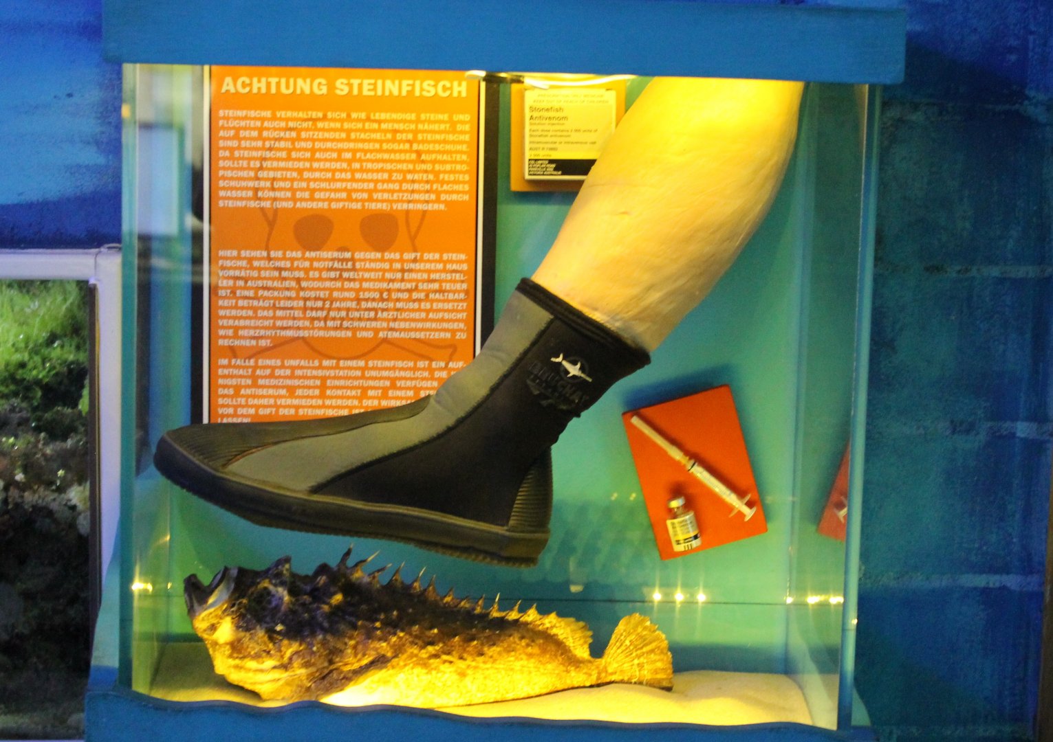 Warning display Stonefish