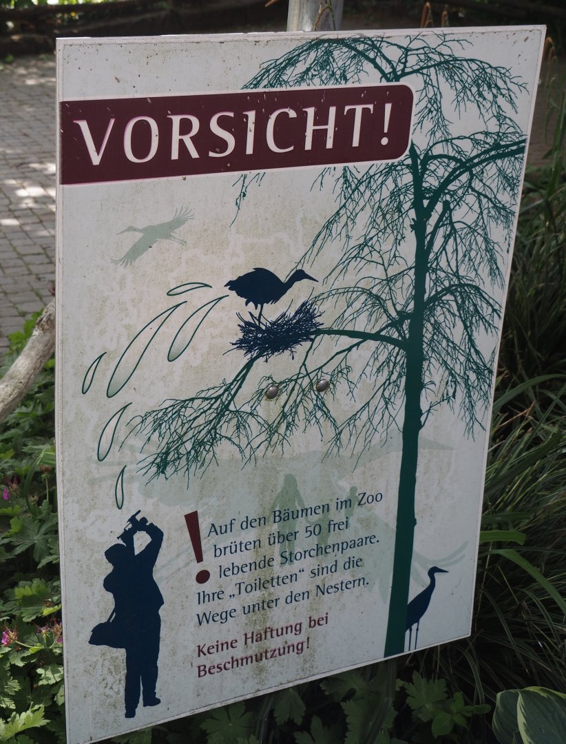 Warning for falling poop from white stork nests, 2025-05-22
