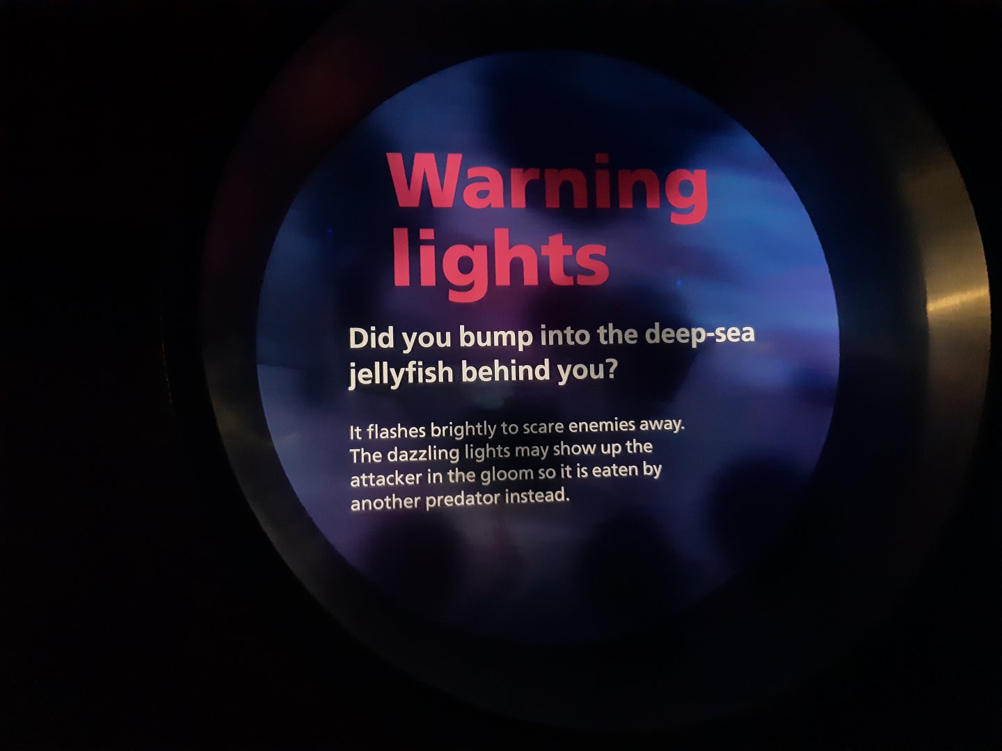 Warning Lights