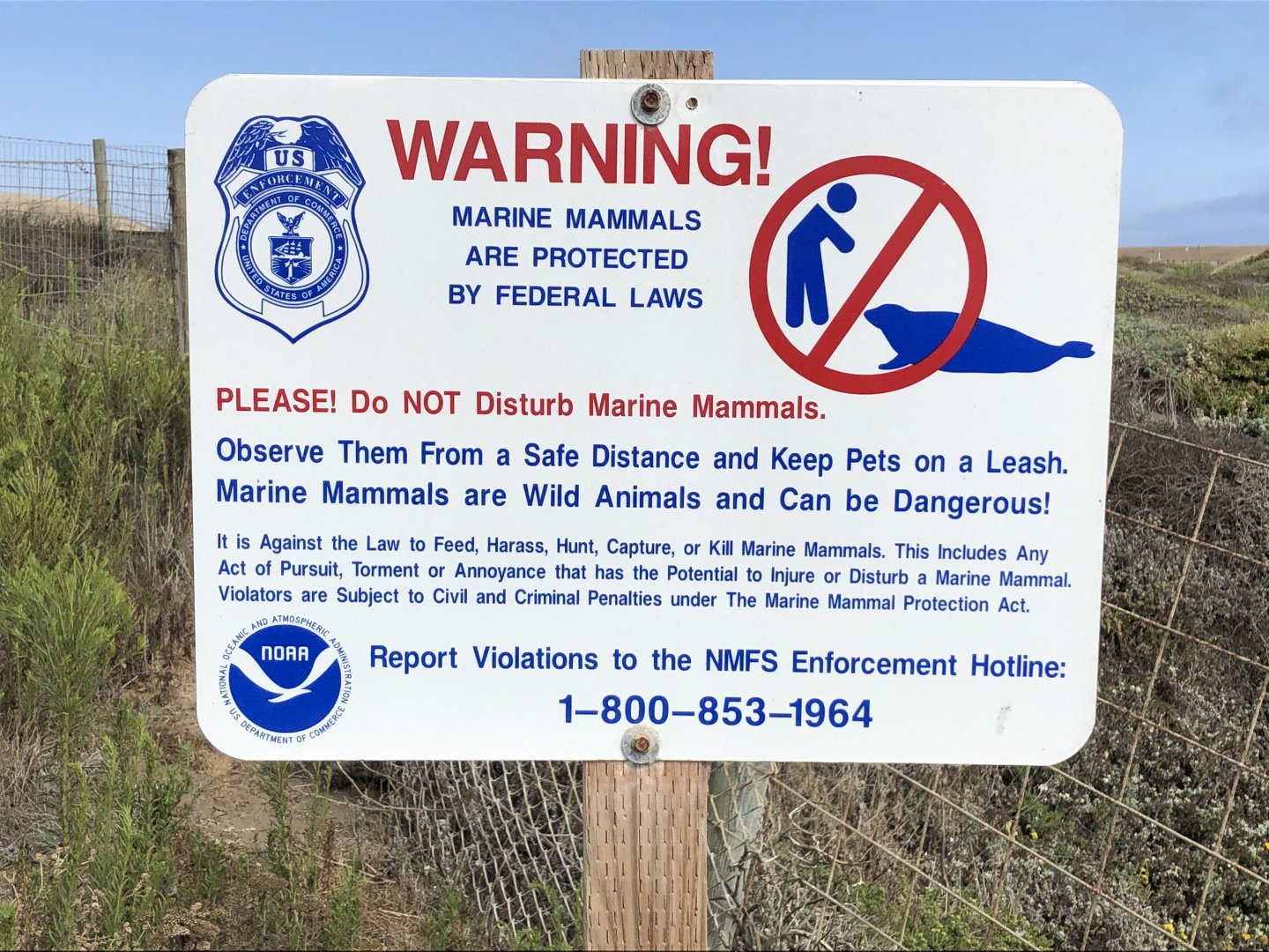 Warning sign about dangerous elephant seals
