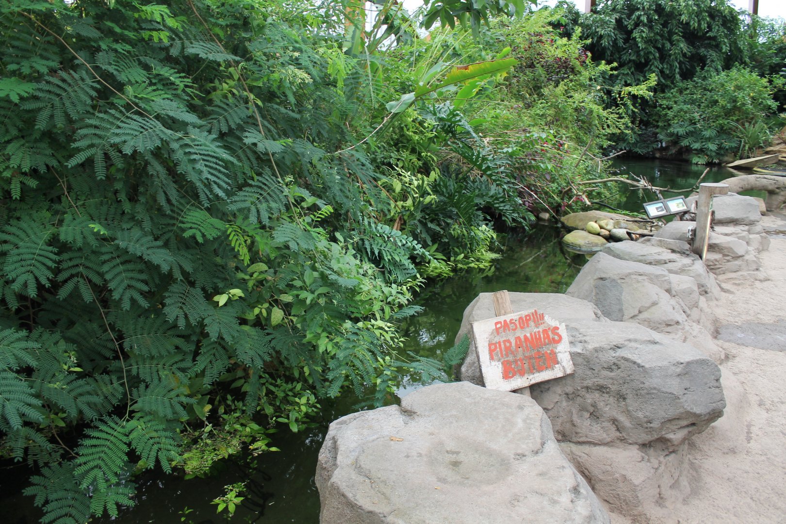 Warning-sign Piranhas