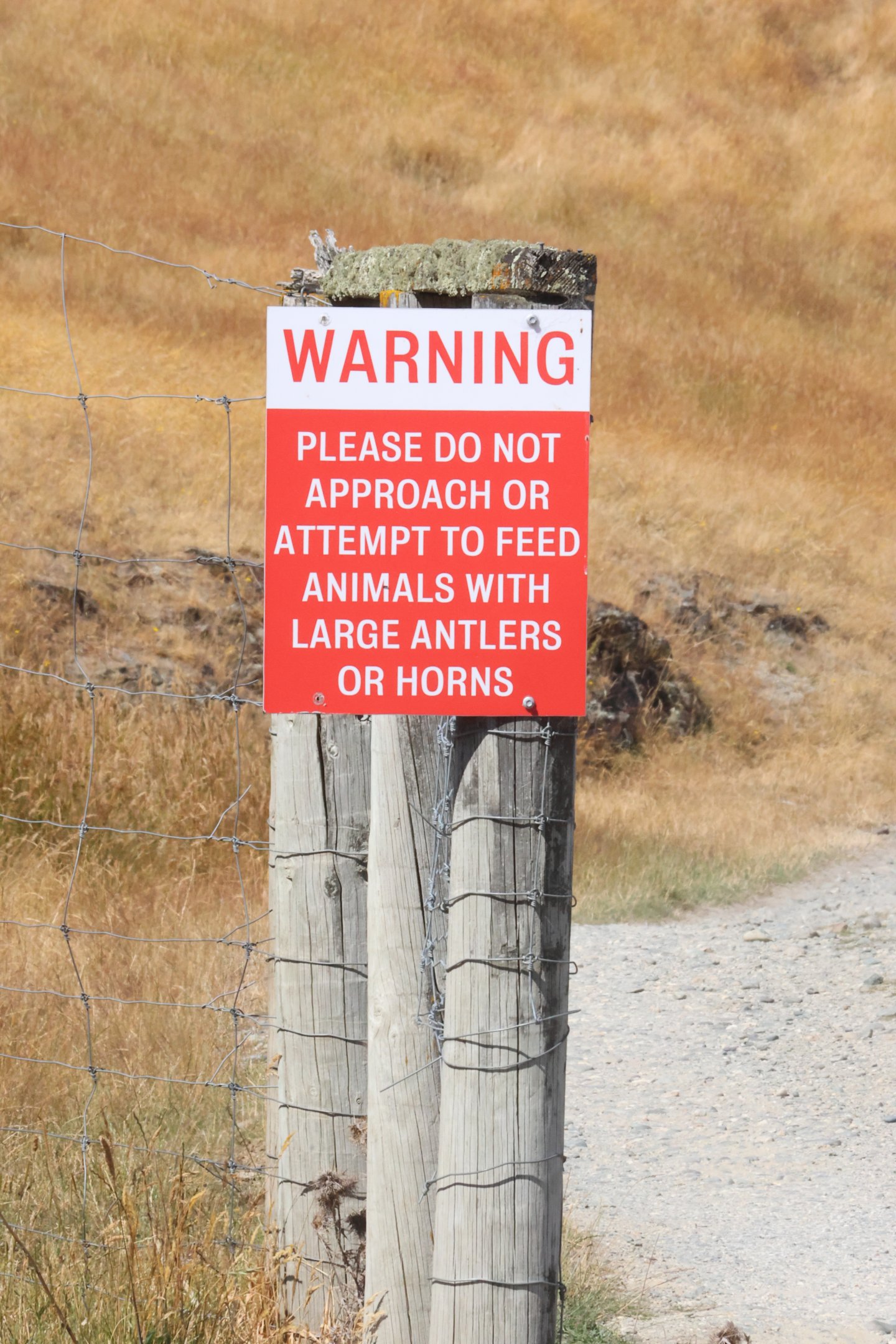 Warning signage, Deer Park Heights (Queenstown)