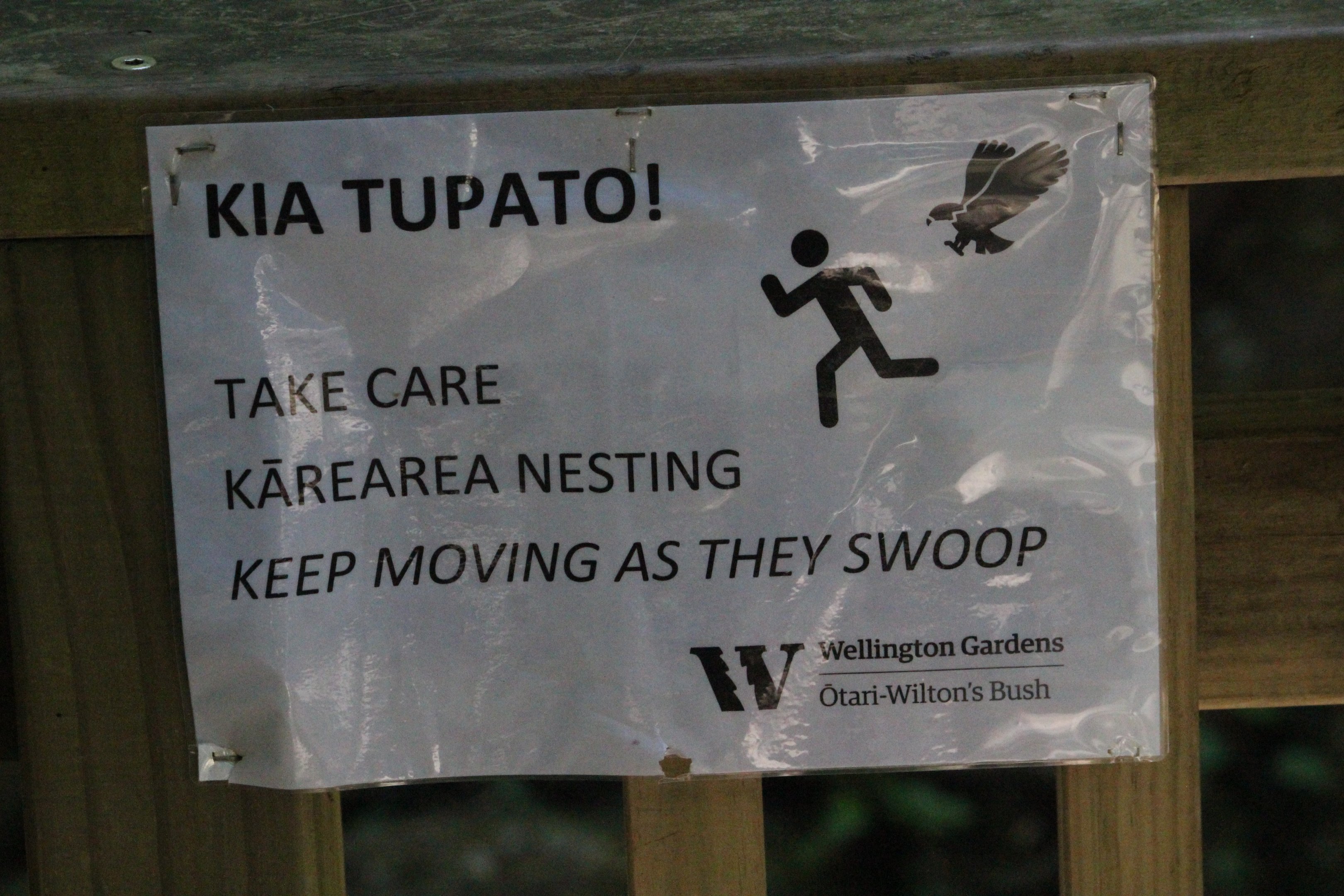 Warning signage for New Zealand Falcon, Ōtari-Wilton's Bush