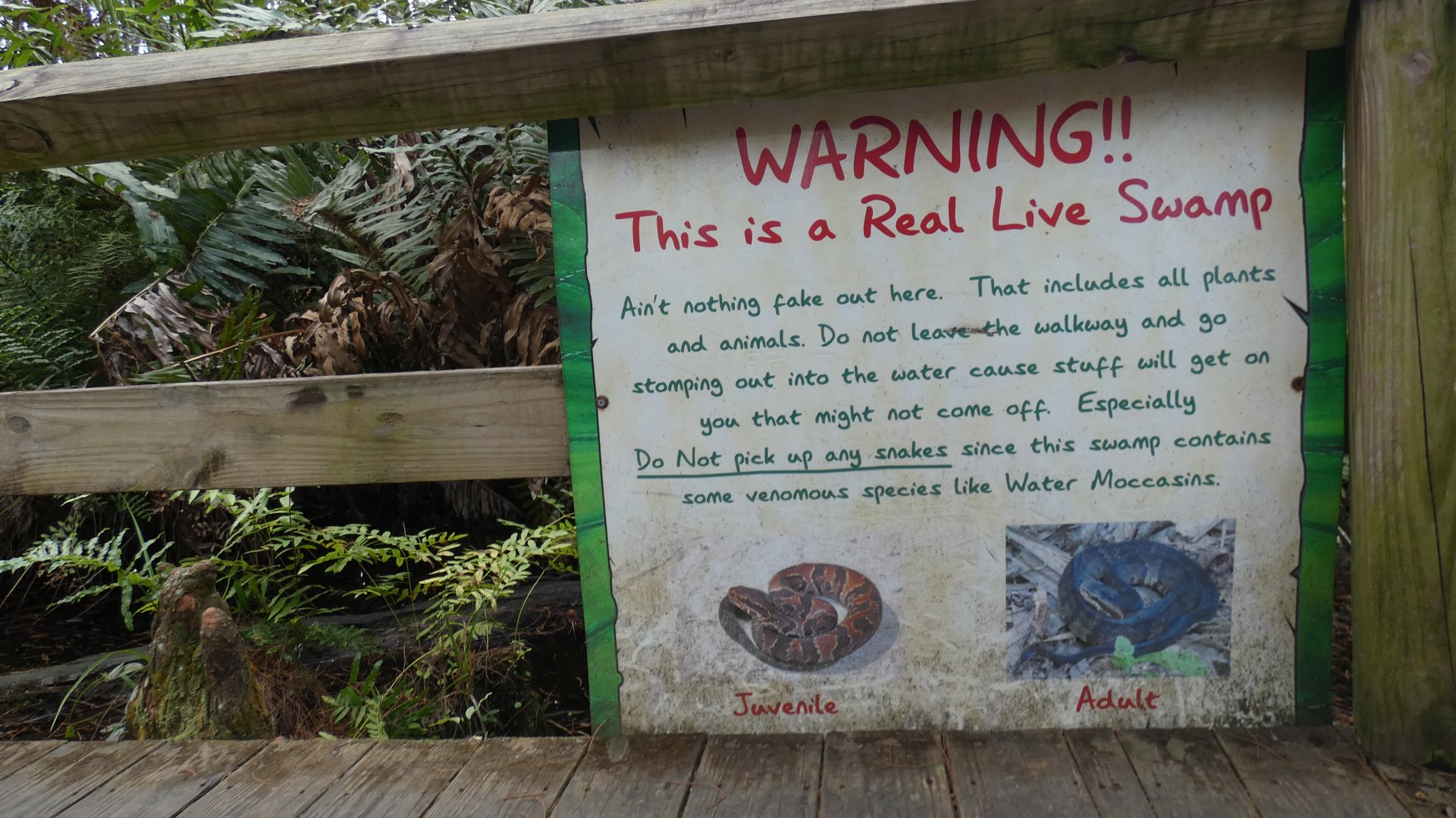 "WARNING, This is a real swamp..." sign, Swamp Walk - Jan. 2022