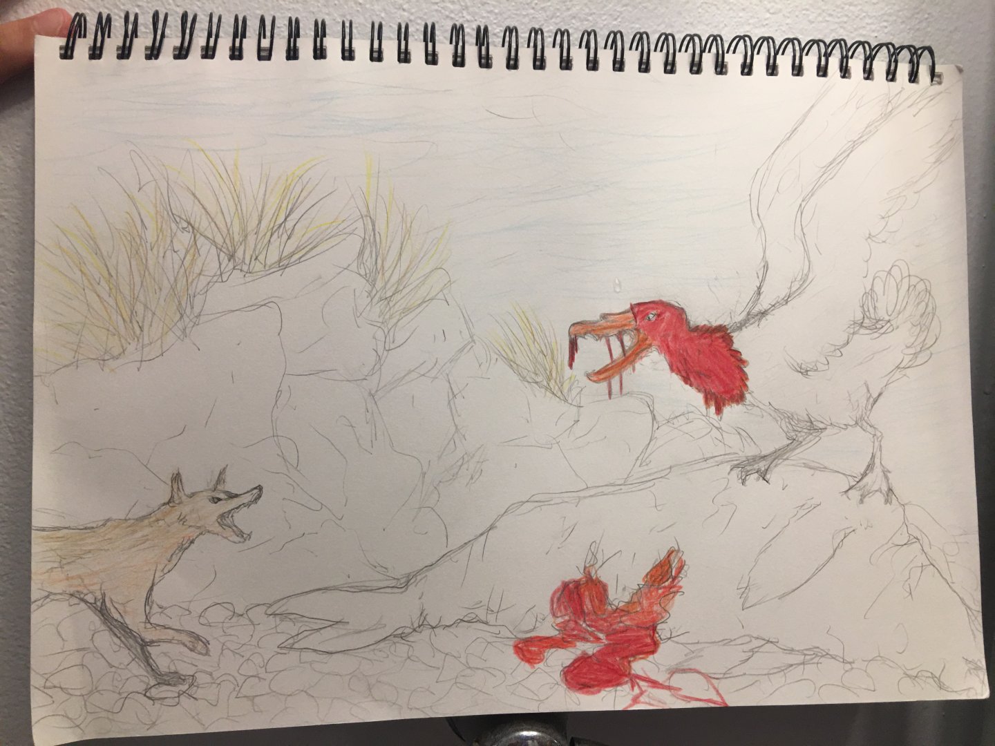 Warrah Vs Giant Petrel