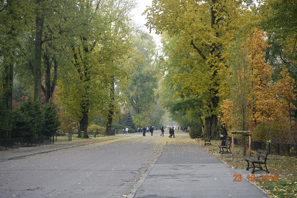 Warsaw Zoo 23.10.16