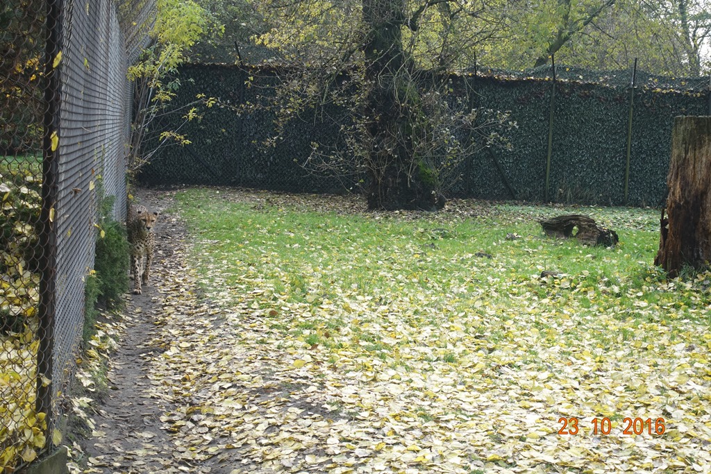Warsaw Zoo 23.10.16
