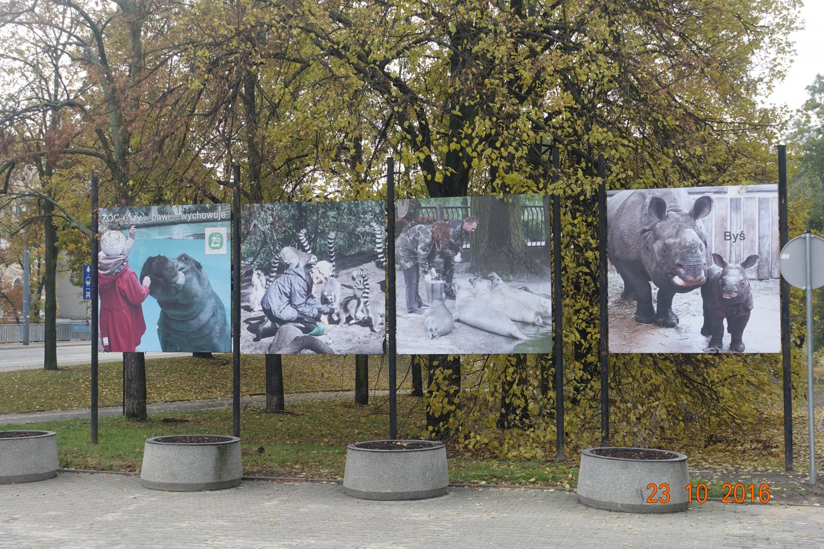 Warsaw Zoo 23.10.16