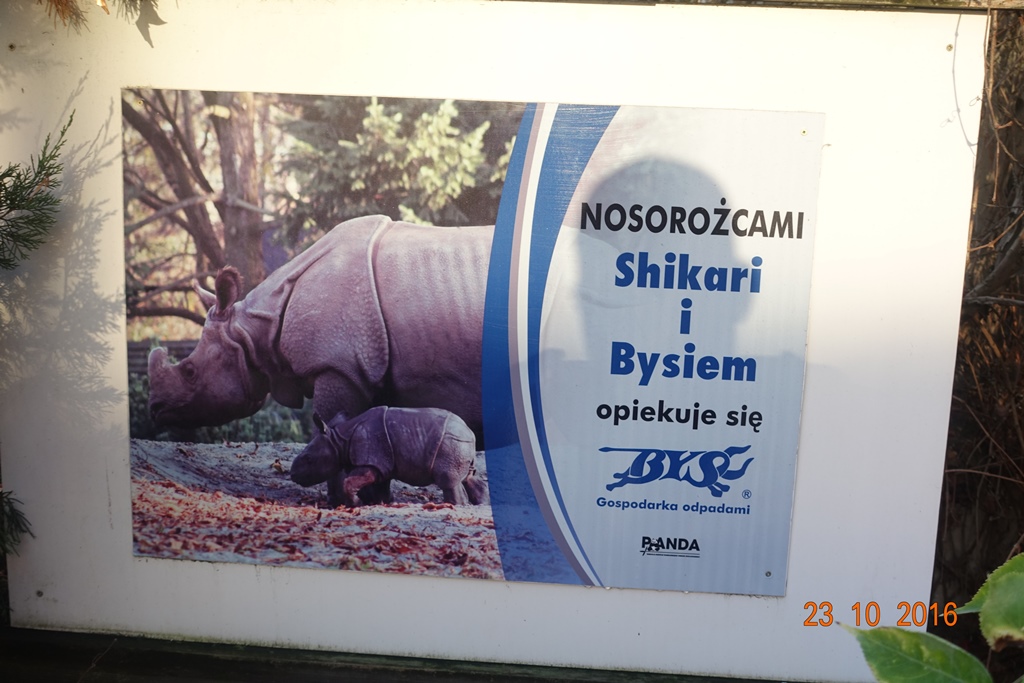 Warsaw Zoo 23.10.16