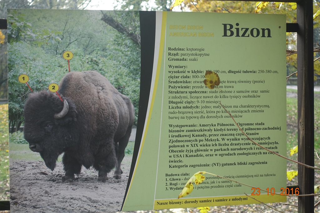 Warsaw Zoo 23.10.16