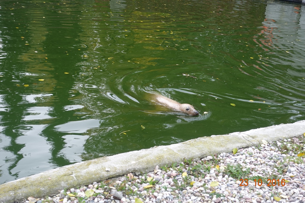 Warsaw Zoo 23.10.16