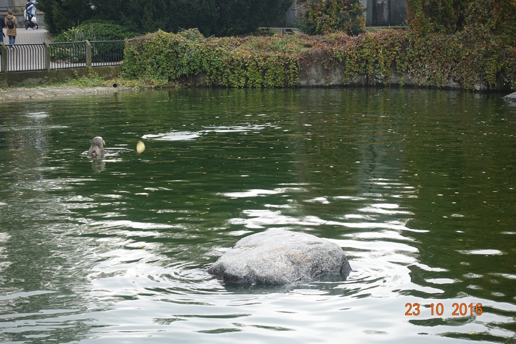 Warsaw Zoo 23.10.16