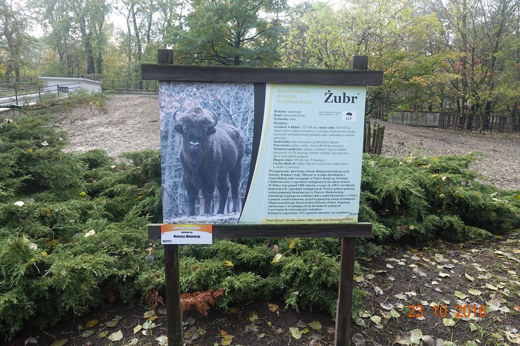 Warsaw Zoo 23.10.16